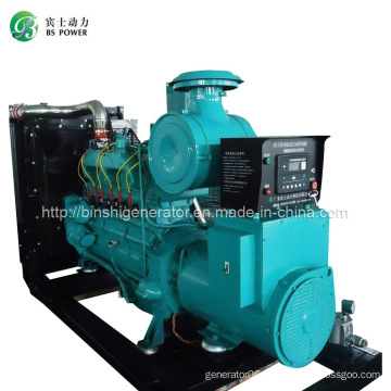 250kVA LNG Power Generator Set